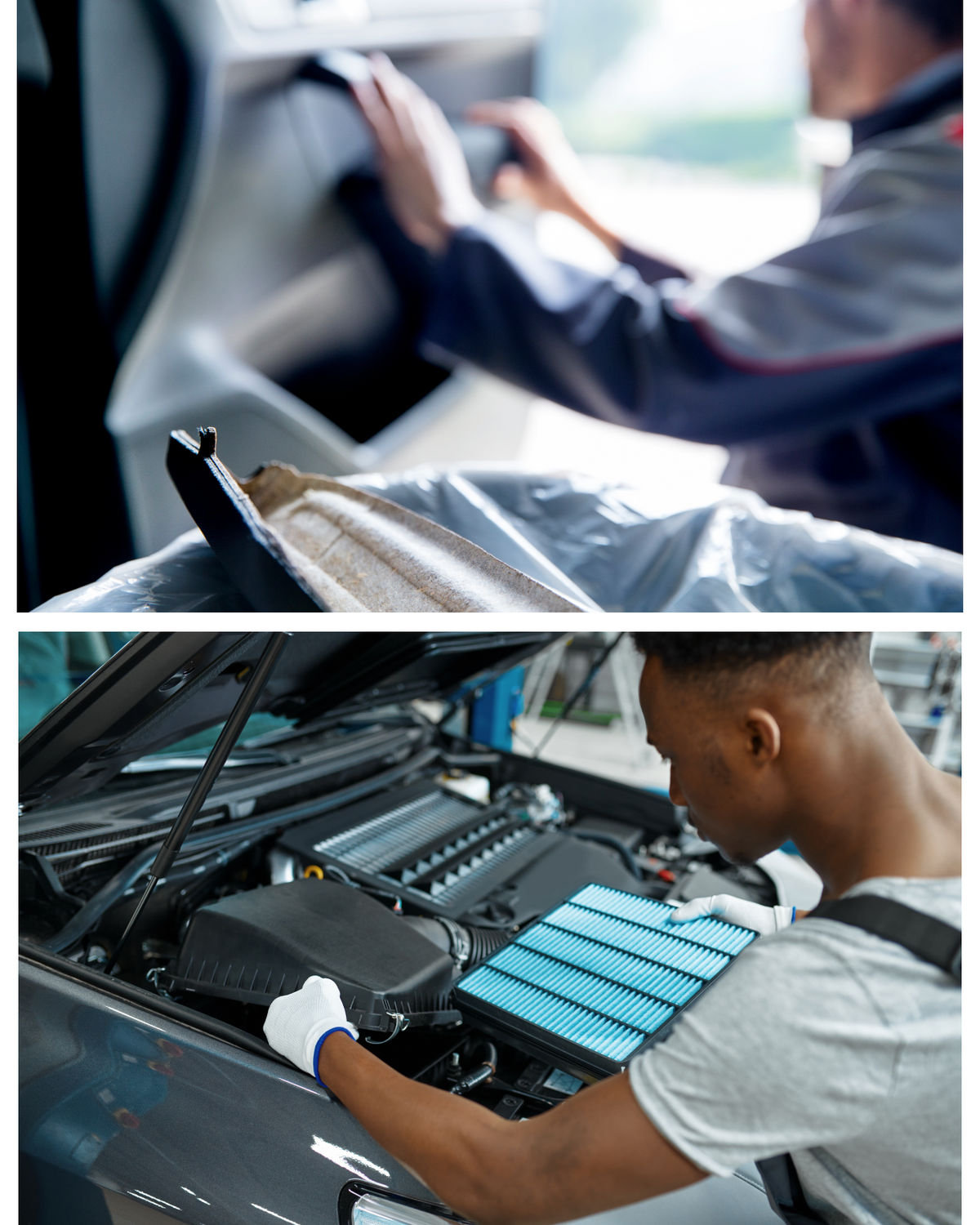 Beaulieu Fibres International