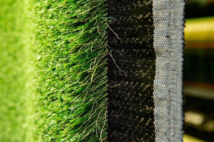 Grass