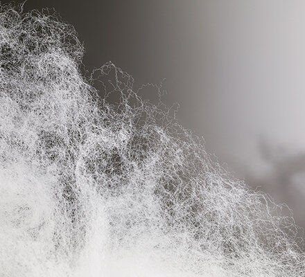 Fibres